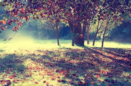 雅思口语天天练：如何邀约