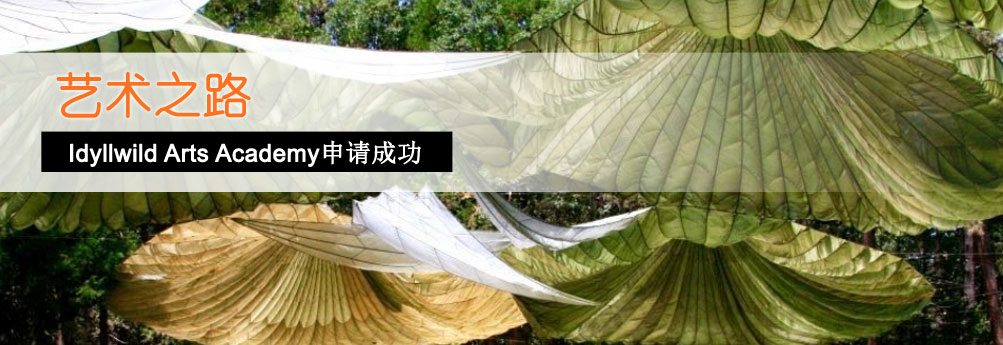 【高中】加州艺术高中10年级申请成功
