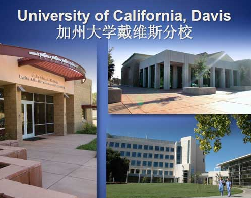 加州大学戴维斯分校