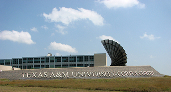 德州农工大学