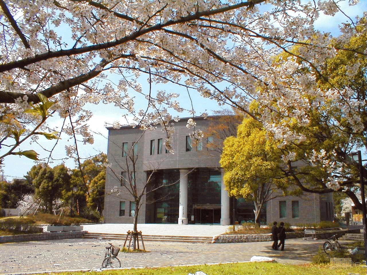 千叶大学