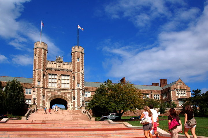 华盛顿圣路易斯大学
