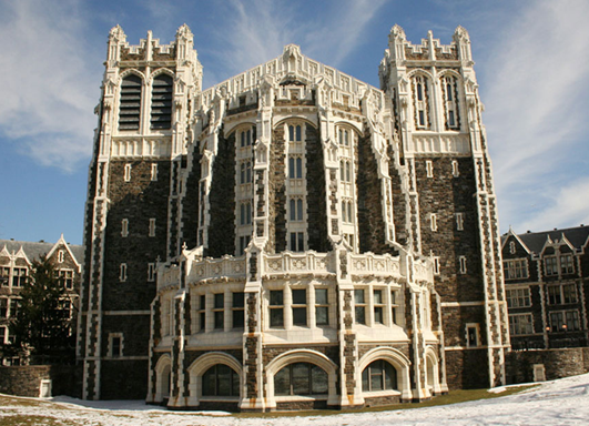 纽约大学