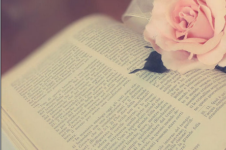 雅思阅读高分技巧