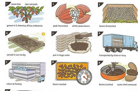 雅思流程图作文高分指导