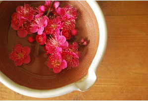 日语趣味阅读:落花的不同表达方式 日语趣味阅读:落花的不同表达方式