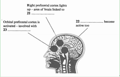 雅思阅读十大题型简介