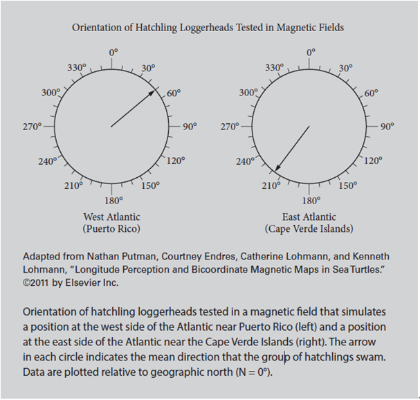 新SAT阅读科学类图表文章分析 新SAT阅读科学类图表文章分析