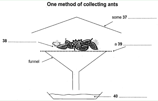 剑8 Test 4 Passage 3