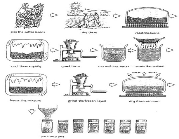 The diagram below shows how coffee is produced and prepared for sale in supermarkets and shops. The diagram below shows how coffee is produced and prepared for sale in supermarkets and shops.