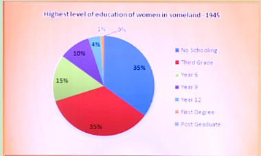 扇形图1 扇形图1