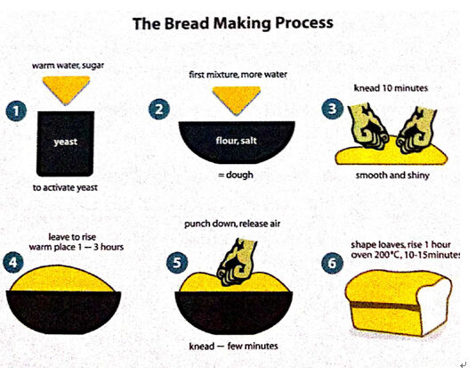 the bread making process